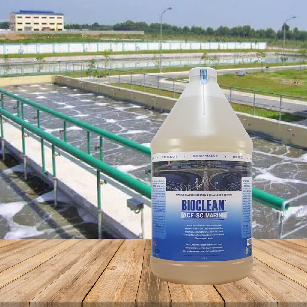 Hàng Mỹ - Vi Sinh Xử Lý Nước Thải Có Độ Mặn Cao Bioclean ACF-SC Marine - Chai Gallon= 3,785L