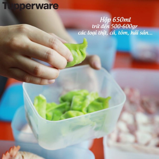 Tupperware - Hộp trữ đông freezermate 650ml (1 hộp)