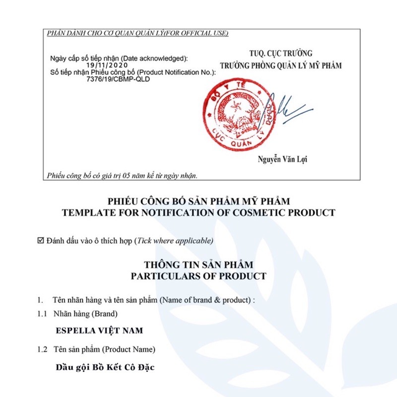 DẦU GỘI BỒ KẾT CÔ ĐẶC - GỪNG TƯƠI HỖ TRỢ GIẢM BẾT DẦU, RỤNG TÓC, KÍCH MỌC TÓC (HANDMADE) | Thế Giới Skin Care