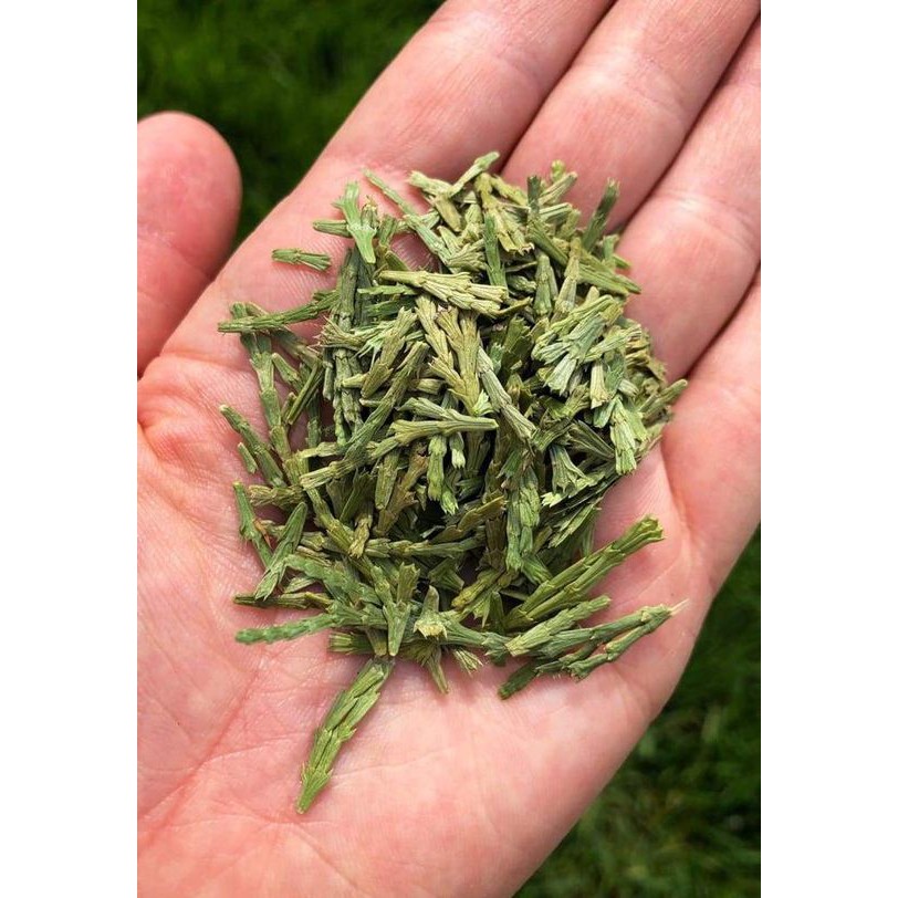 XÔNG NHÀ MỚI, MỪNG TÂN GIA (Tuyết tùng - Cedar)_SAGE GARDEN