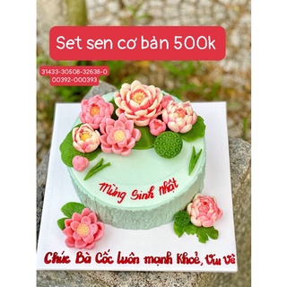 COMBO SET SEN HOA SEN CƠ BẢN SET 5