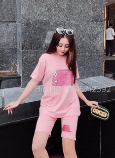 Set cá sấu