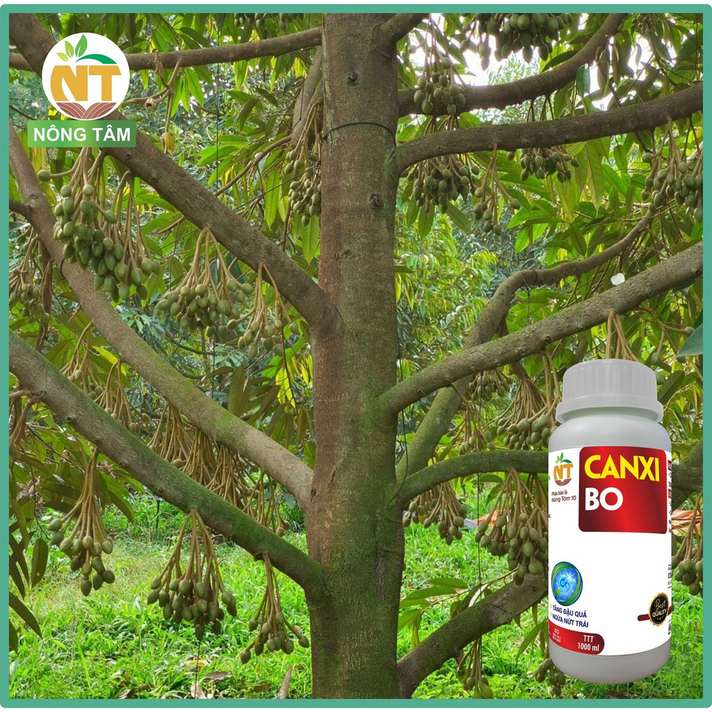 Siêu Canxi Bo chống rụng hoa, trái non chuyên dùng cho rau màu, cây ăn quả, chai 1000ml
