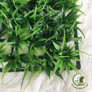 Vỉ cỏ nhựa mini