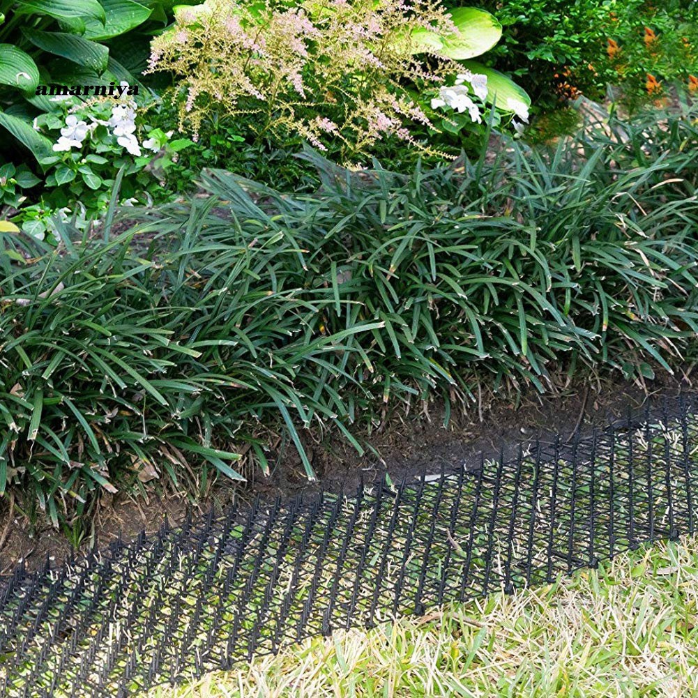 Hàng rào nhựa bảo vệ cây hoa khỏi động vật nuôi tiện dụng