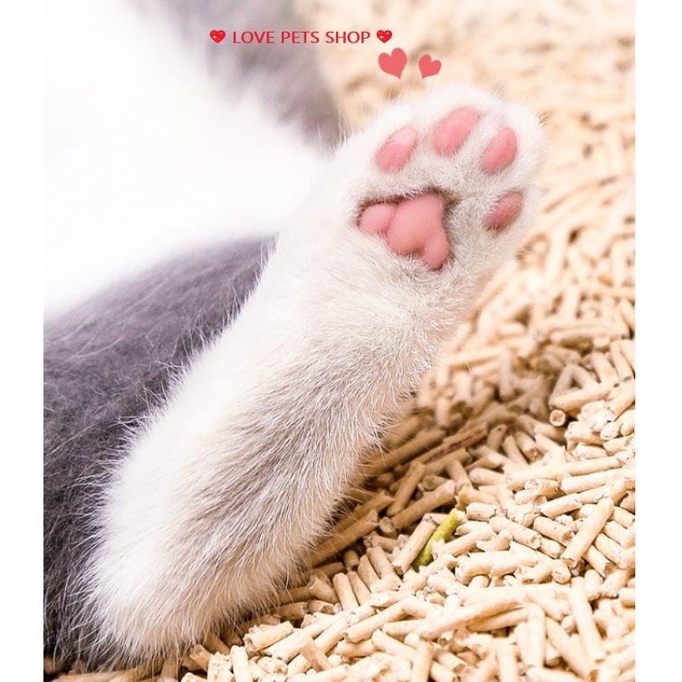 CÁT VỆ SINH CHO MÈO LÀM TỪ ĐẬU NÀNH TOFU CAT 6L - LOVE PETS SHOP