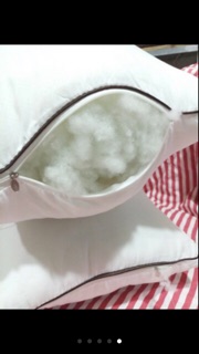 Ruột gối đầu Muji
