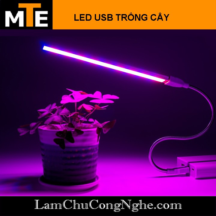 Đèn LED trồng cây, kích thích tăng trưởng cho cây trồng trong nhà