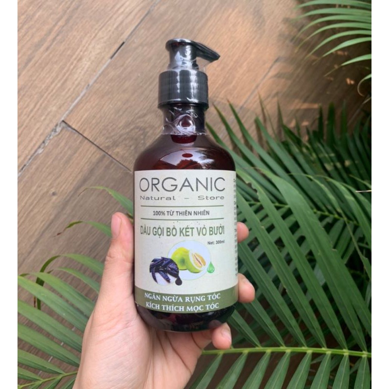 Combo gội xả gồm dầu gội vỏ bưởi 300ML & Kem ủ tóc 250GR | BigBuy360 - bigbuy360.vn