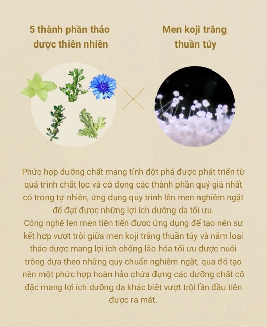 Serum chống lão hoá Albion Flora