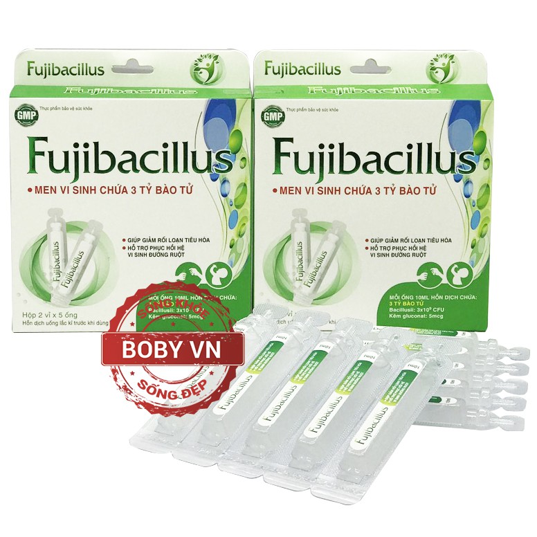 Men vi sinh hỗ trợ đường ruột Fujibacillus giảm rối loạn tiêu hóa Dạng ống