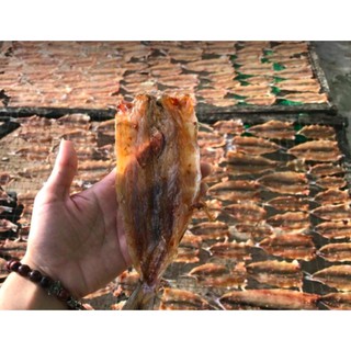 (TÚI NHỎ CÁ DÙNG THỬ) CÁ CHỈ-CÁ CƠM-CÁ DẢNH......-ĐẶC SẢN PHAN THIẾT-(HÚT CHÂN KHÔNG)