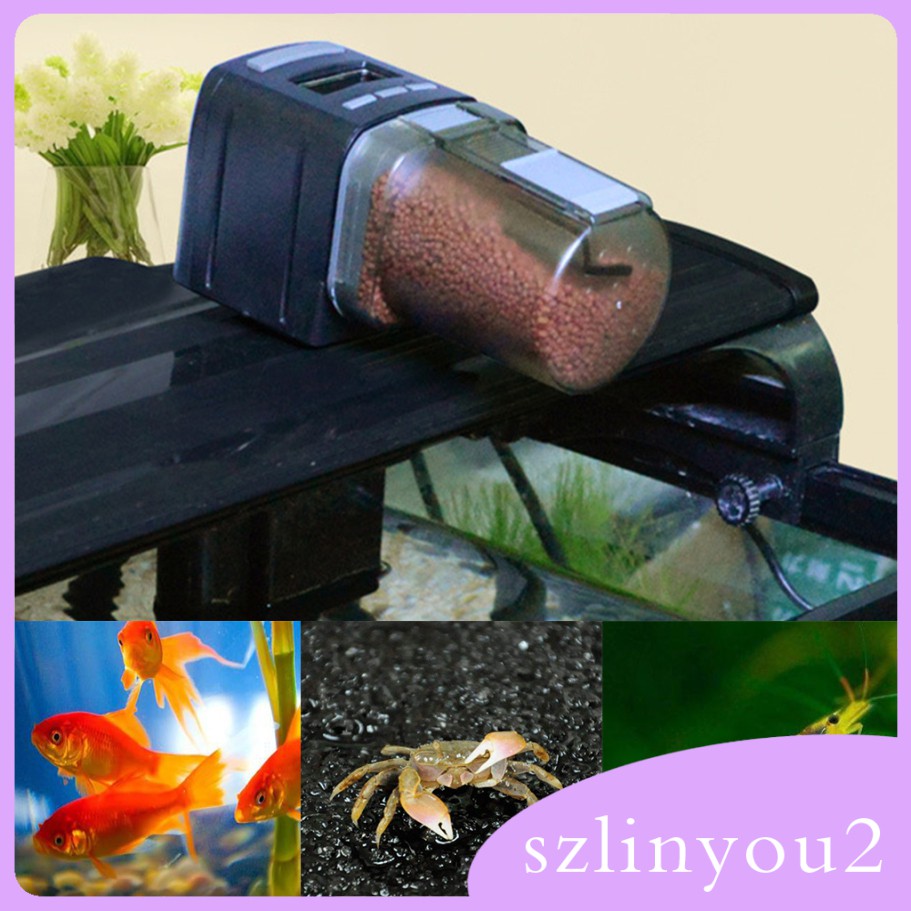 Máy cho cá ăn tự động có màn hình LCD cao cấp tiện dụng