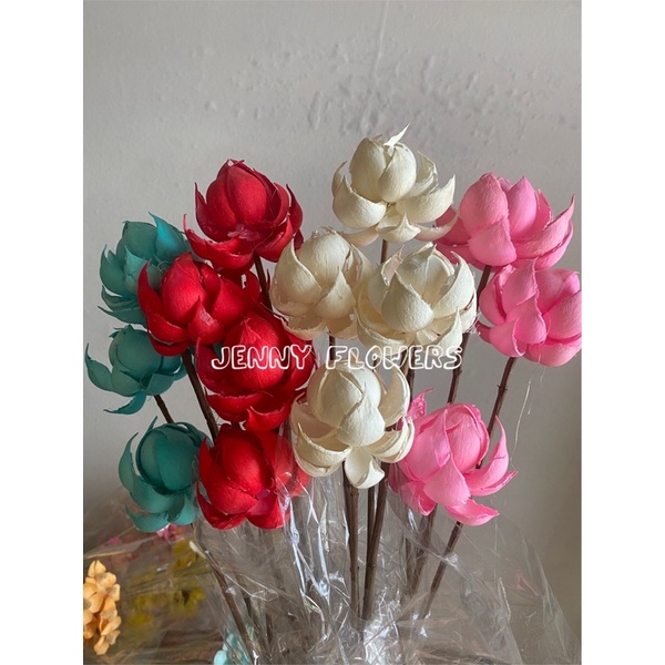 HOA KHÔ SEN GỖ CỤP NHIỀU MÀU DECOR TRANG TRÍ NHÀ CỬA VĂN PHÒNG