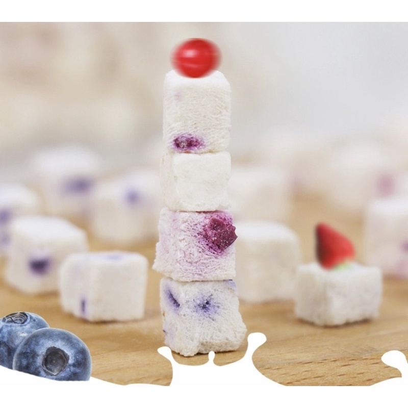 Sữa chua sấy khô. Thức ăn dinh dưỡng cho hamster, sóc, thỏ, bọ