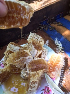 Mật ong nguyên chất 