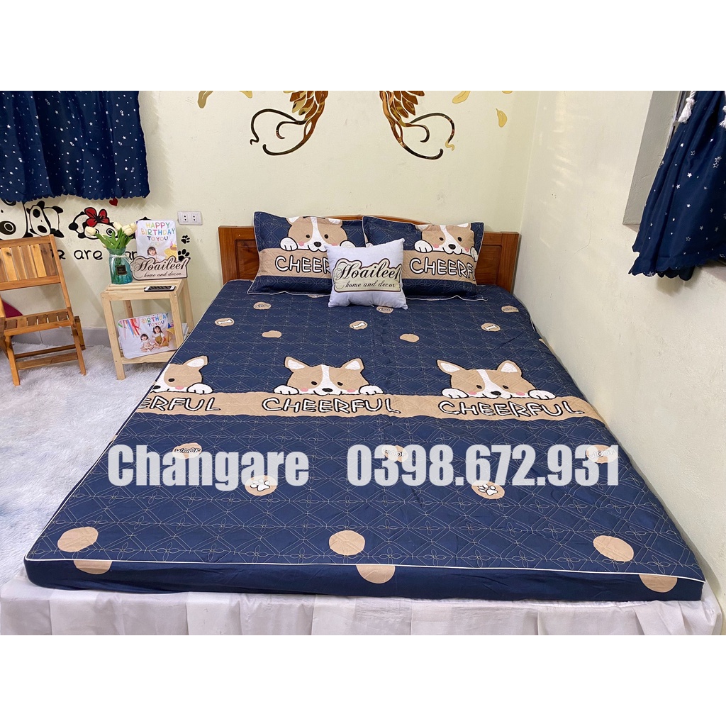 (Set 5 món) Bộ Chăn Ga Gối Trần Bông Ga Chun Ga Trải Giường Nhiều Kích Thước M6 M8 2M2