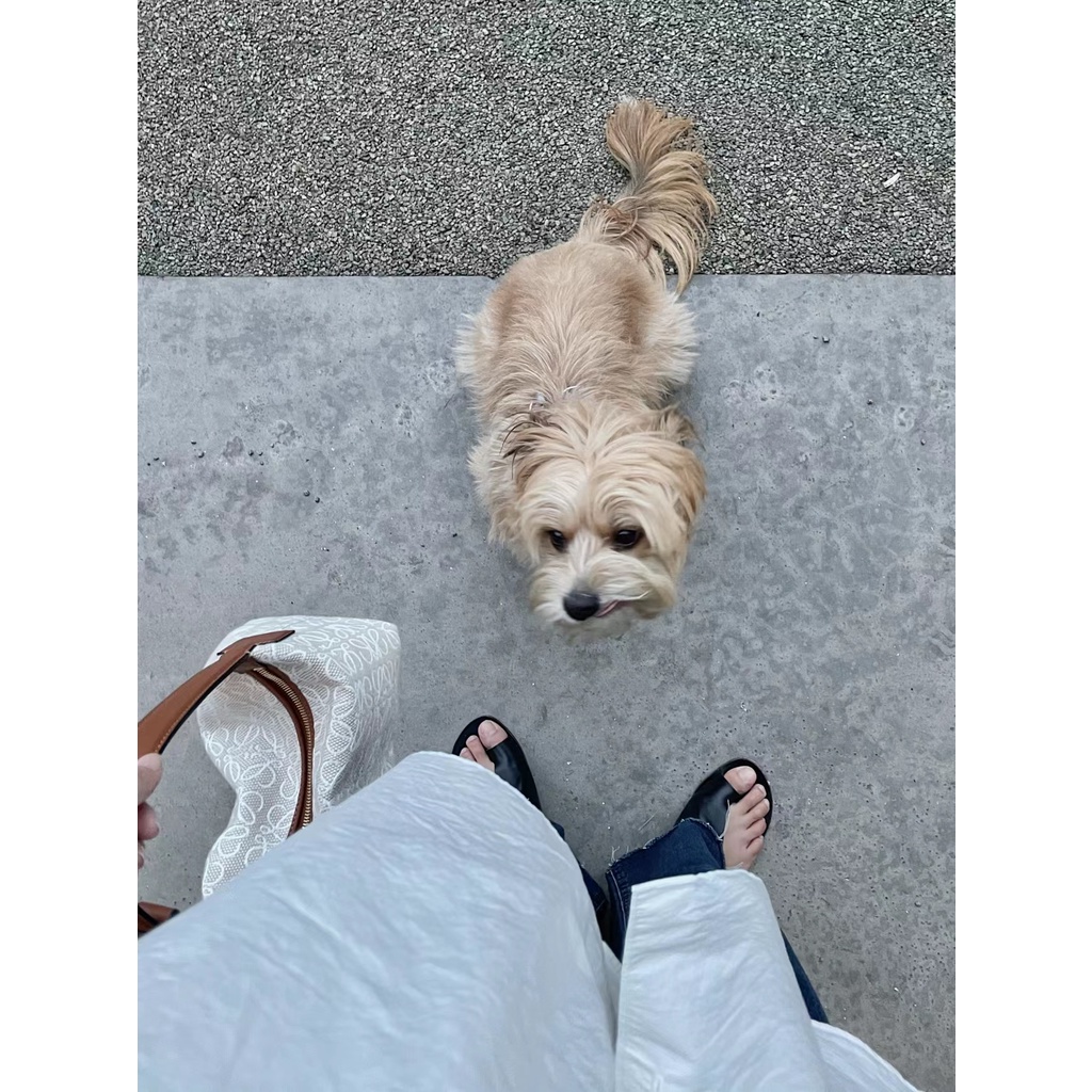 Túi Vải Jacquard Và Da Bò Nhỏ 21 * 17 CM