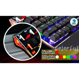 Bàn phím cơ Game thủ Midio CK87 CK104 LED