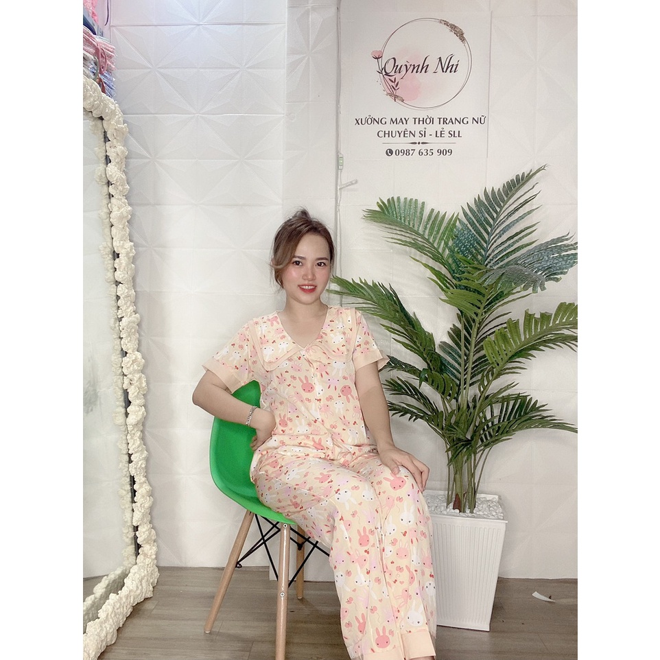 Set Bộ Nữ, Set Bộ Pijama Tay Ngắn Quần Dài Họa Tiết Dễ Thương  Có Size - PJ11