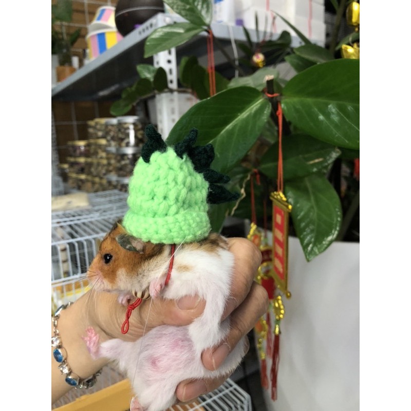 Nón Len Cho Thú Nhỏ Hamster, Sóc, Bọ - Mẫu Sừng Khủng Long