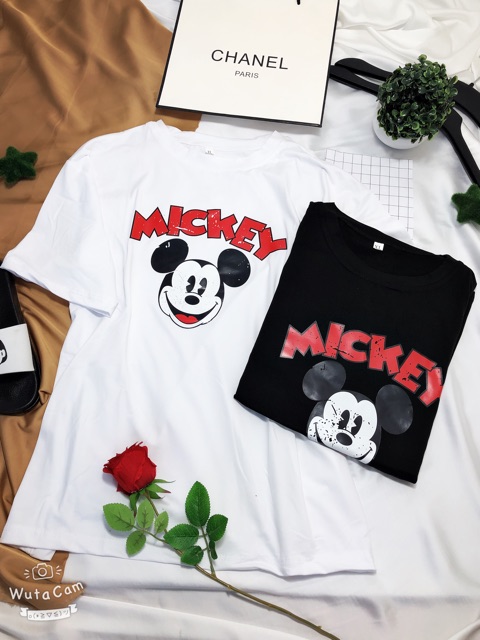 [57] [HÌNH THẬT] áo thun nữ ⚜️FREESHIP⚜️ Thun Nữ Hàng Unisex Phông Nữ Quảng Châu | BigBuy360 - bigbuy360.vn