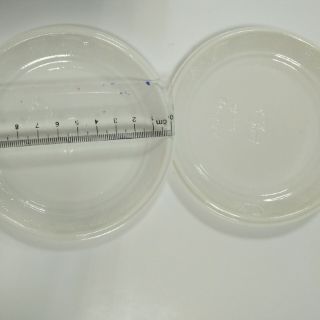 Đĩa nhựa dùng 1 lần (50c)