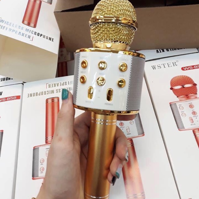 Mic hát karaoke trên đt