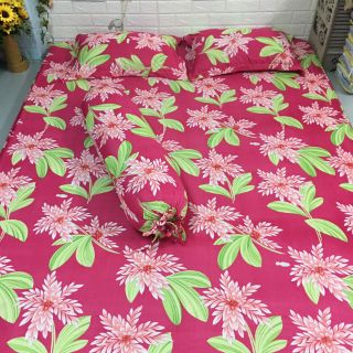 Drap thun hàn ( chat với shop chọn mẫu)