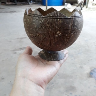 Chậu gáo dừa miệng kiểu có đế