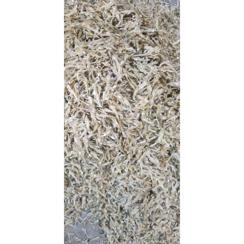 Cá duội, cá cơm nhỏ - TL Seafood 500g | BigBuy360 - bigbuy360.vn