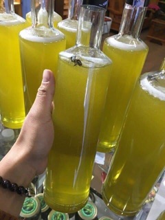 Mật ong rừng