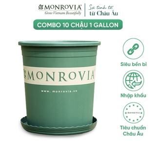 Combo 10 Chậu trồng cây MONROVIA 1 Gallon, kèm đĩa lót, cây cảnh mini, trồng rau, hoa, để bàn, treo ban công, nhập khẩu