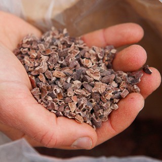 Bột ca cao CacaoMi Premium 470g