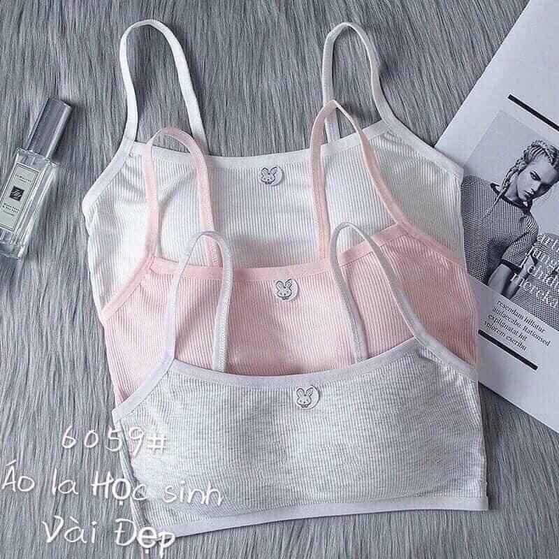 Áo lót len tăm học sinh