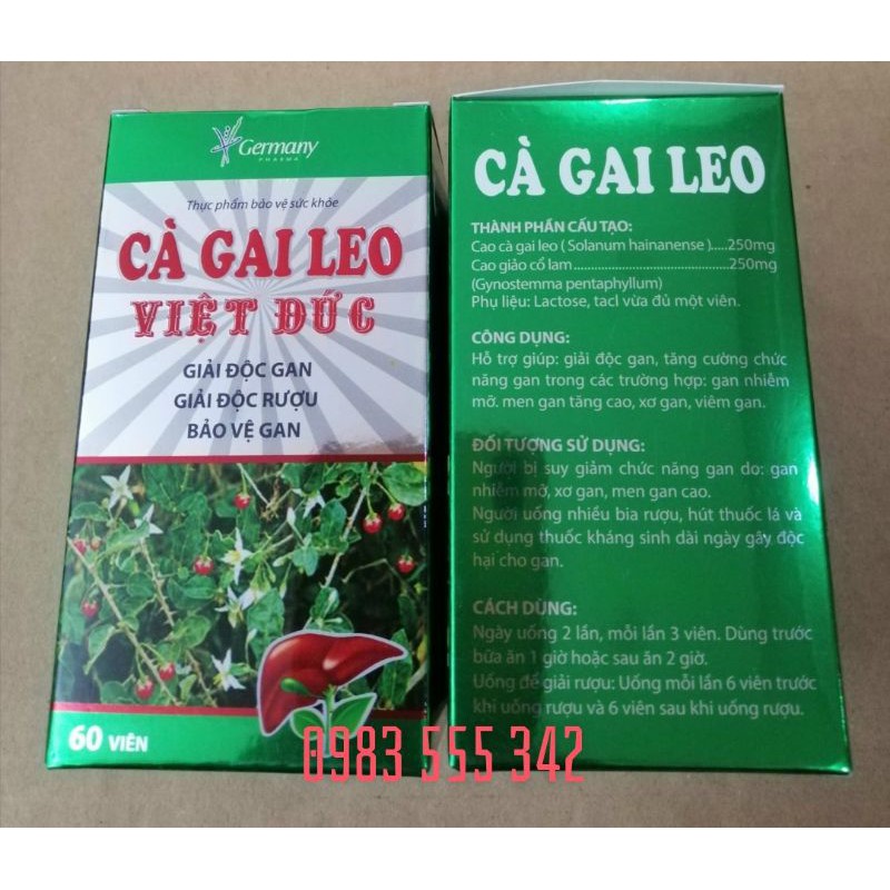 Cà gai leo bảo vệ gan, tăng cường chức năng gan, giải độc rượu mạnh.