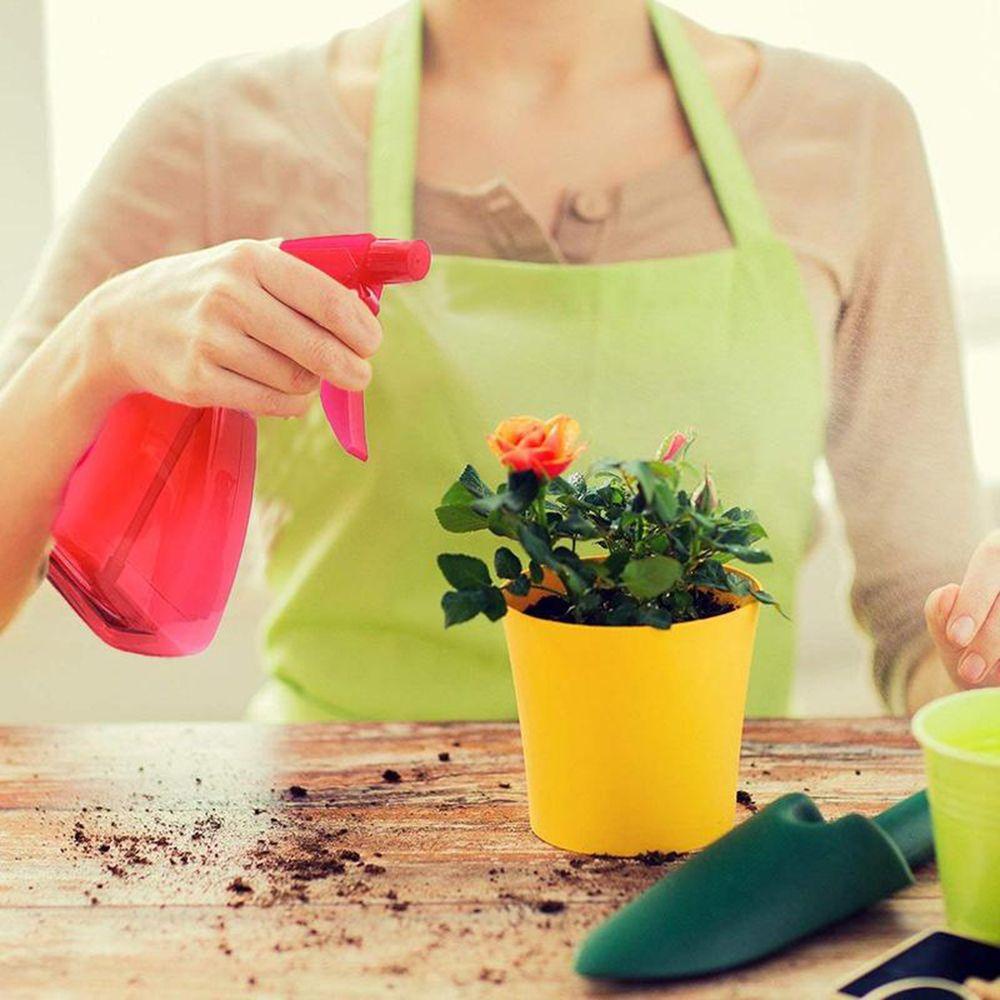 Bình Xịt Phun Sương Chuyên Dụng Cho Làm Vườn