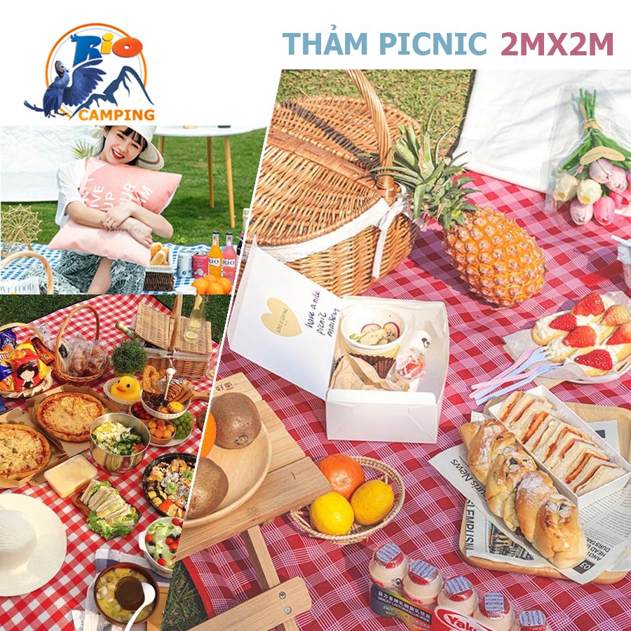 Thảm picnic thảm decor dã ngoại cao cấp chụp ảnh cực đẹp gấp gọn dễ dàng mang theo