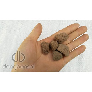 Combo 5lit Pumice (đá bọt núi lửa) Indonesia