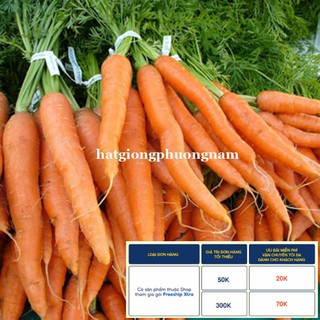 3GR - HẠT GIỐNG CÀ RỐT F1