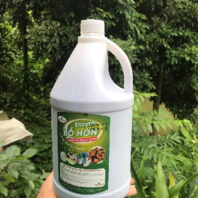 Bồ Hòn rửa bát can 2.5L