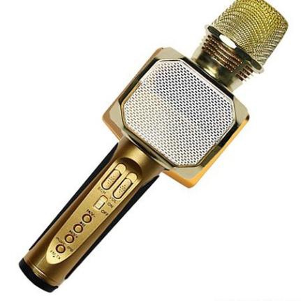 Micro karaoke bluetooth SD10 chính hãng BH 1 đổi 1