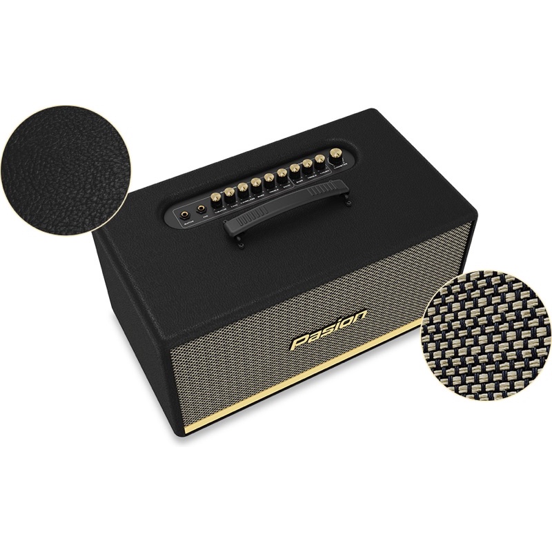 Loa mini xách tay Pasion 2 Hàng Chính Hãng 2022 - Gia Khang shop