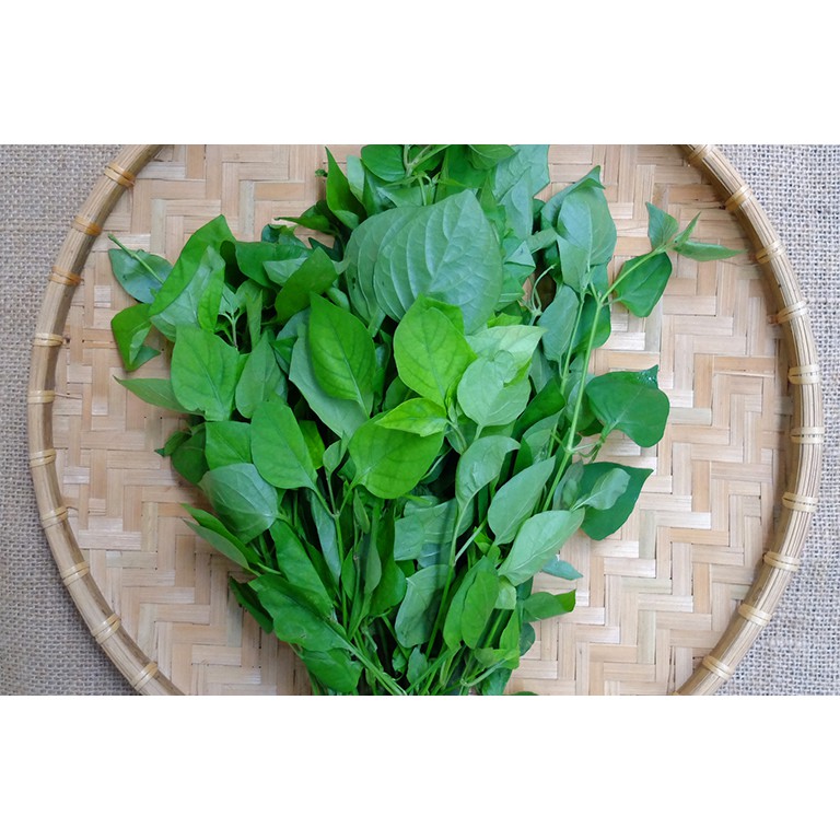 Túi rau ngót (300gr) xanh đạt tiêu chuẩn VIETGAP - Giao nhanh 2H HCM - Nấu canh xào ngon | BigBuy360 - bigbuy360.vn