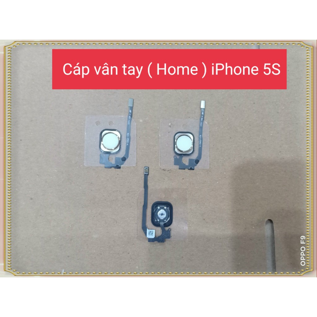 Cáp vân tay ( Home ) Iphone 5s