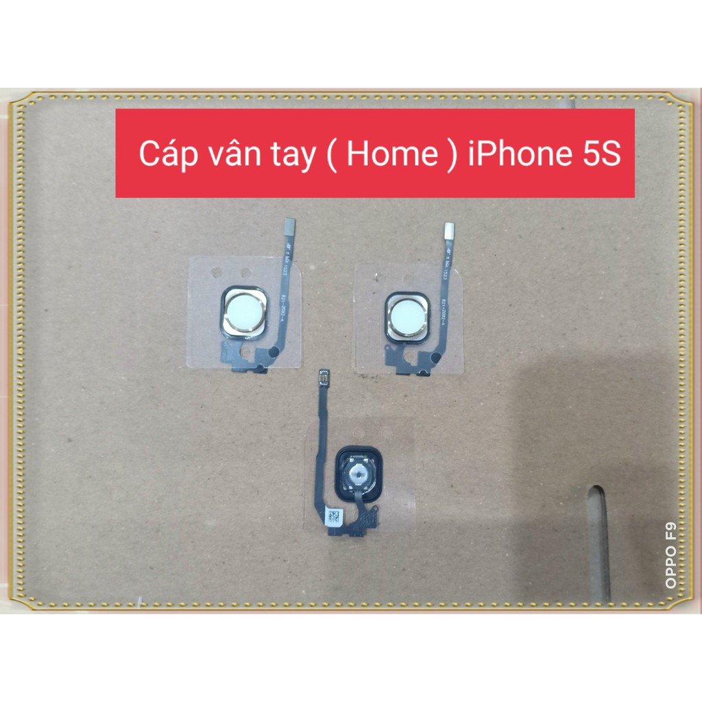 [Mã ELORDER5 giảm 10K đơn 20K] Cáp vân tay ( Home ) Iphone 5s