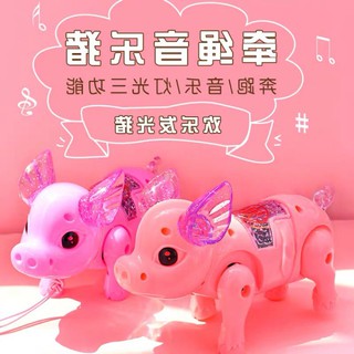 Heo biết đi biết hát, phát sáng