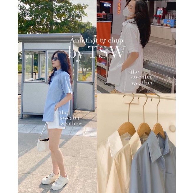 Áo sơ mi nữ ngắn tay có cổ phối cúc sườn xẻ vạt - The Sweater Weather