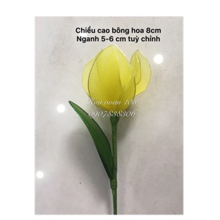 Hoa tulip vải voan