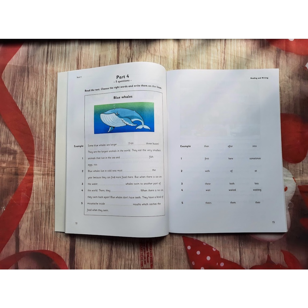 Bản đẹp Test Mover 1-3